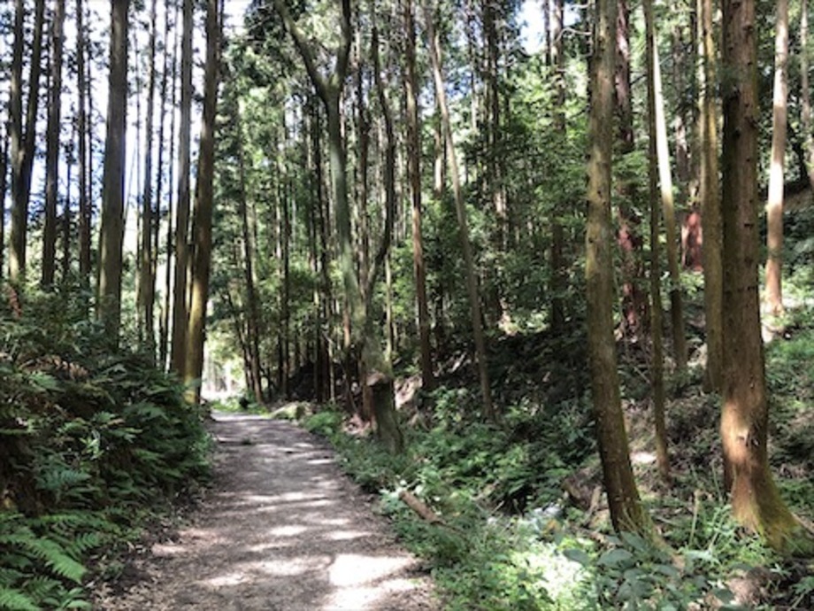 金剛生駒紀泉国定公園