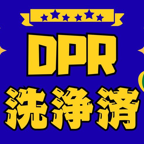 DPR洗浄　排ガスマフラー洗浄　メンテナンス　排ガス装置